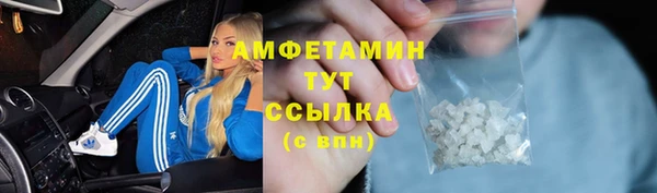 стафф Вязьма