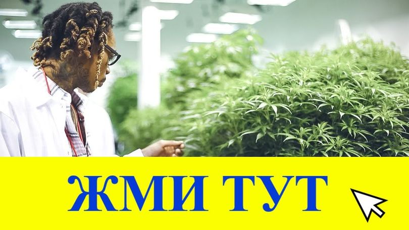 Купить наркотики в Выксе